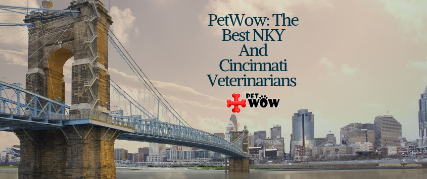 Best Cincinnati & Northern Kentucky Veterinarians - PetWow
