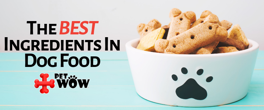 Dog Food Ingredients - PetWow