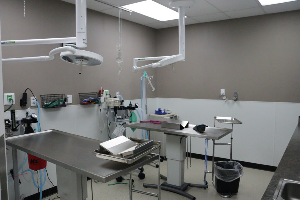 surgery-room-florence-ky-petwow Surgical-room-at-florence-key-petwow
