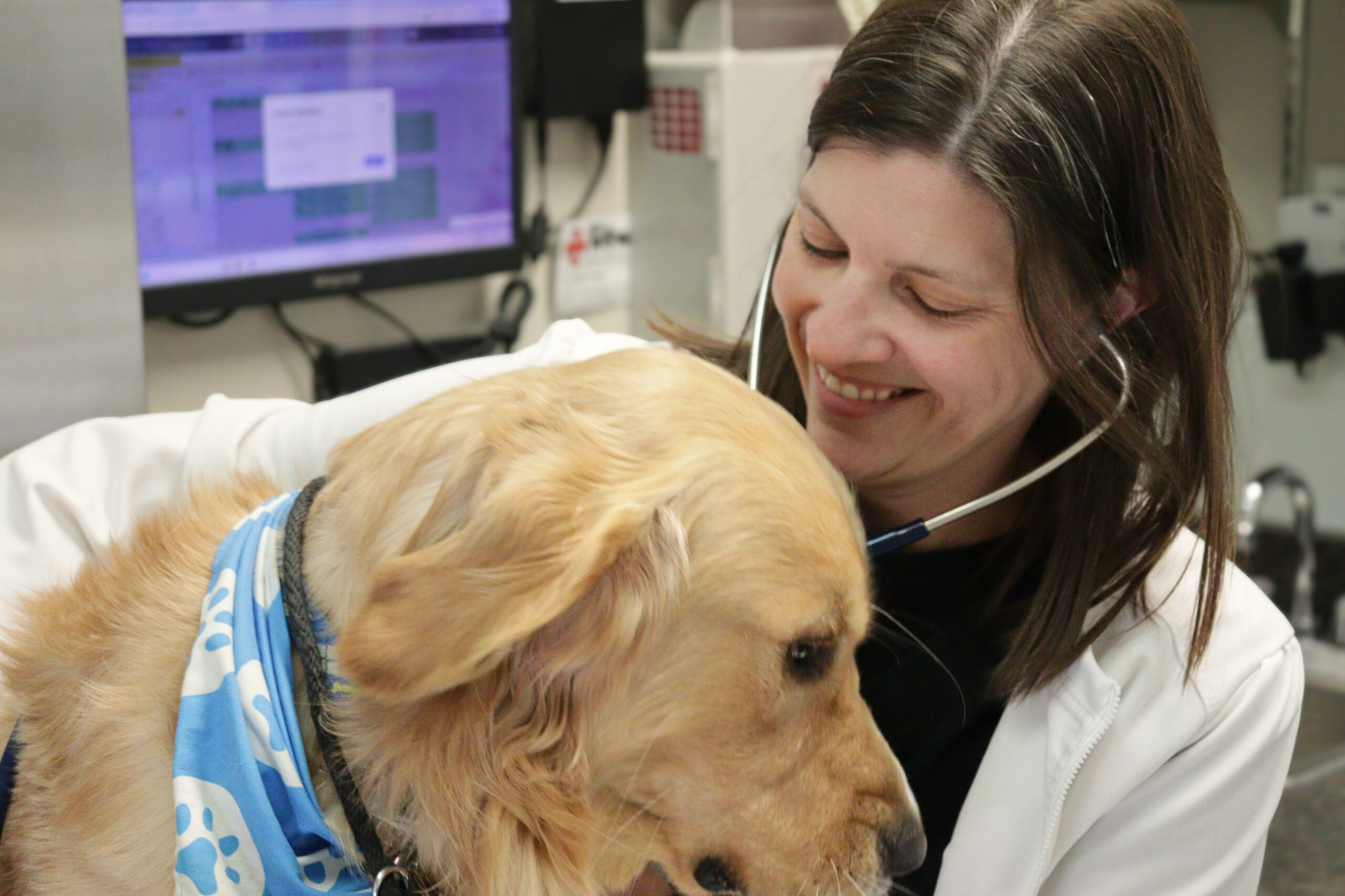 Dr. Echols Canine Wellness Exam florence-ky-petwow-pet-wellness-exam