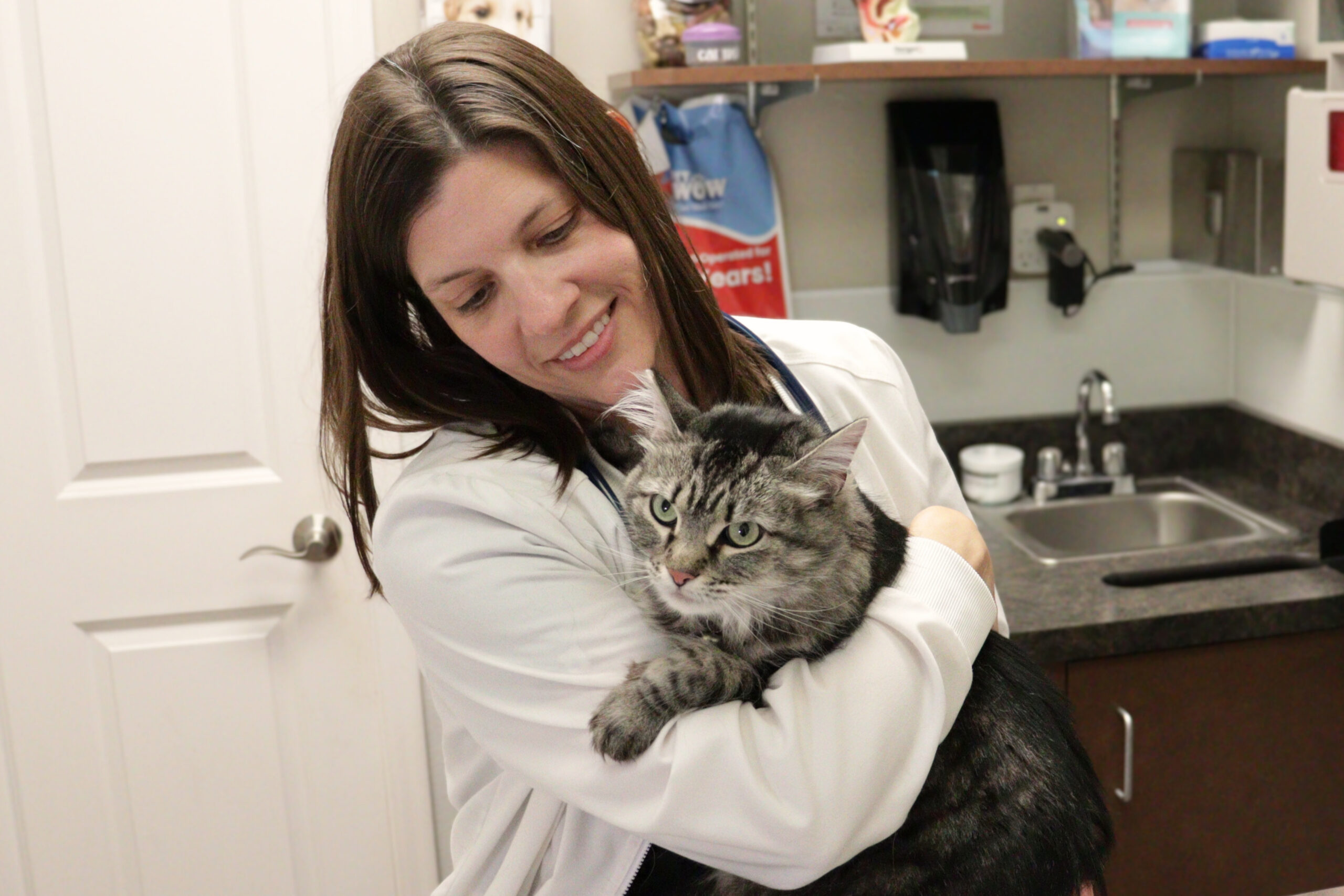 Florence-ky-petwow-feline-veterinary-exam