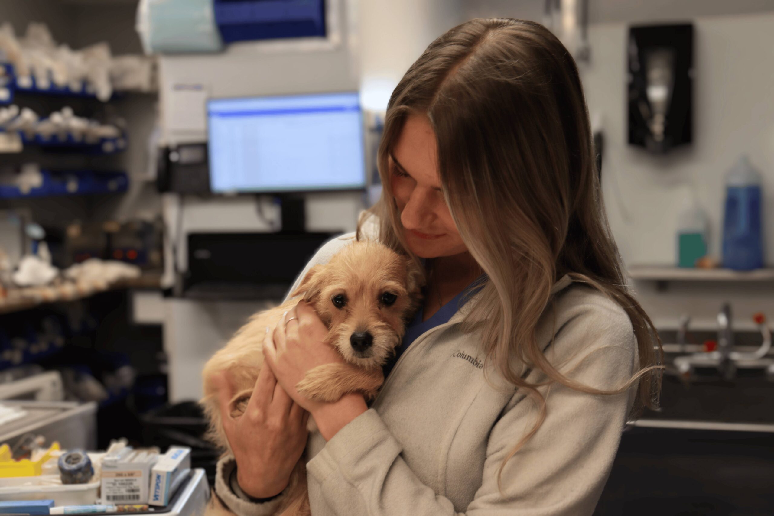 dog-spay-highland-heights-ky