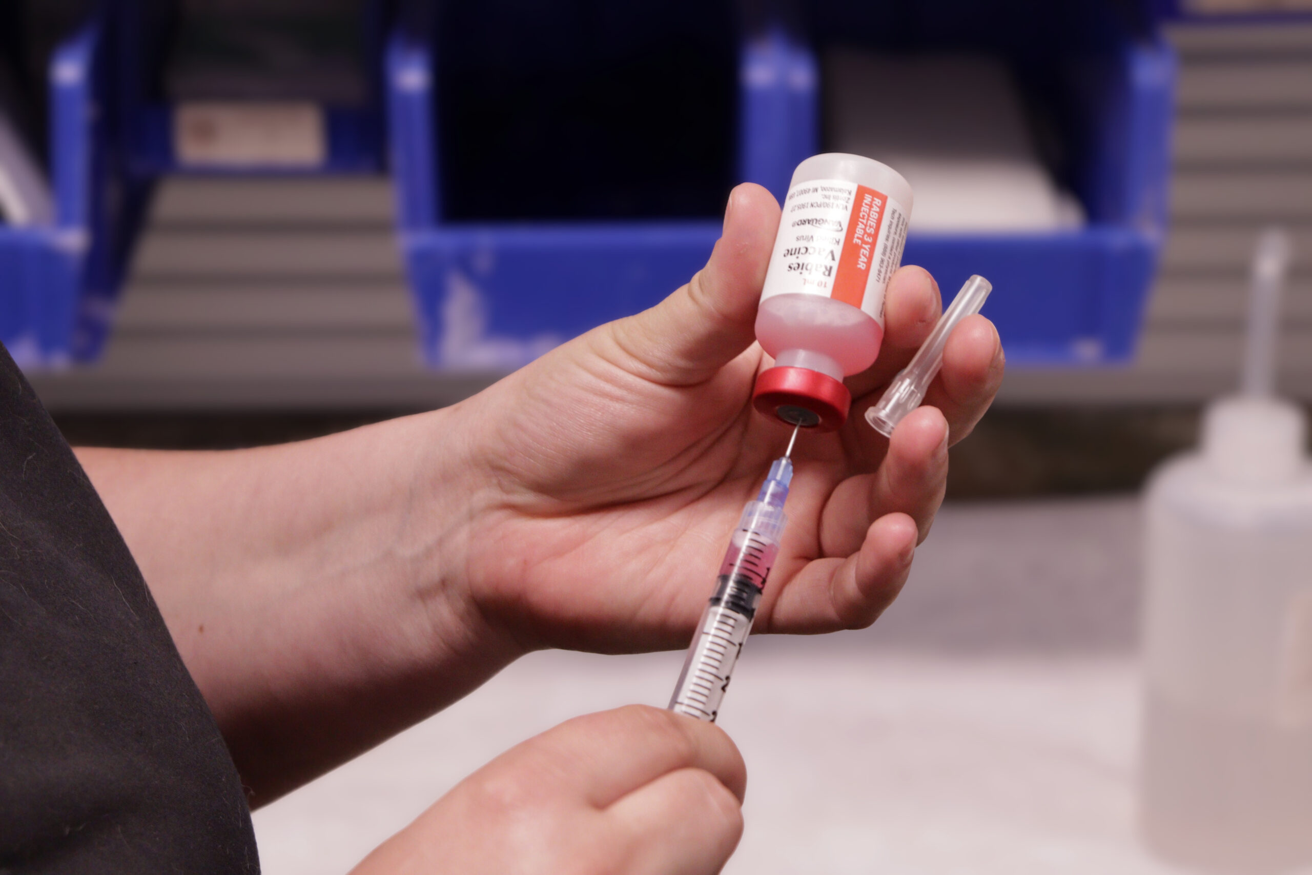 rabies-vaccine-highland-heights-ky-petwow
