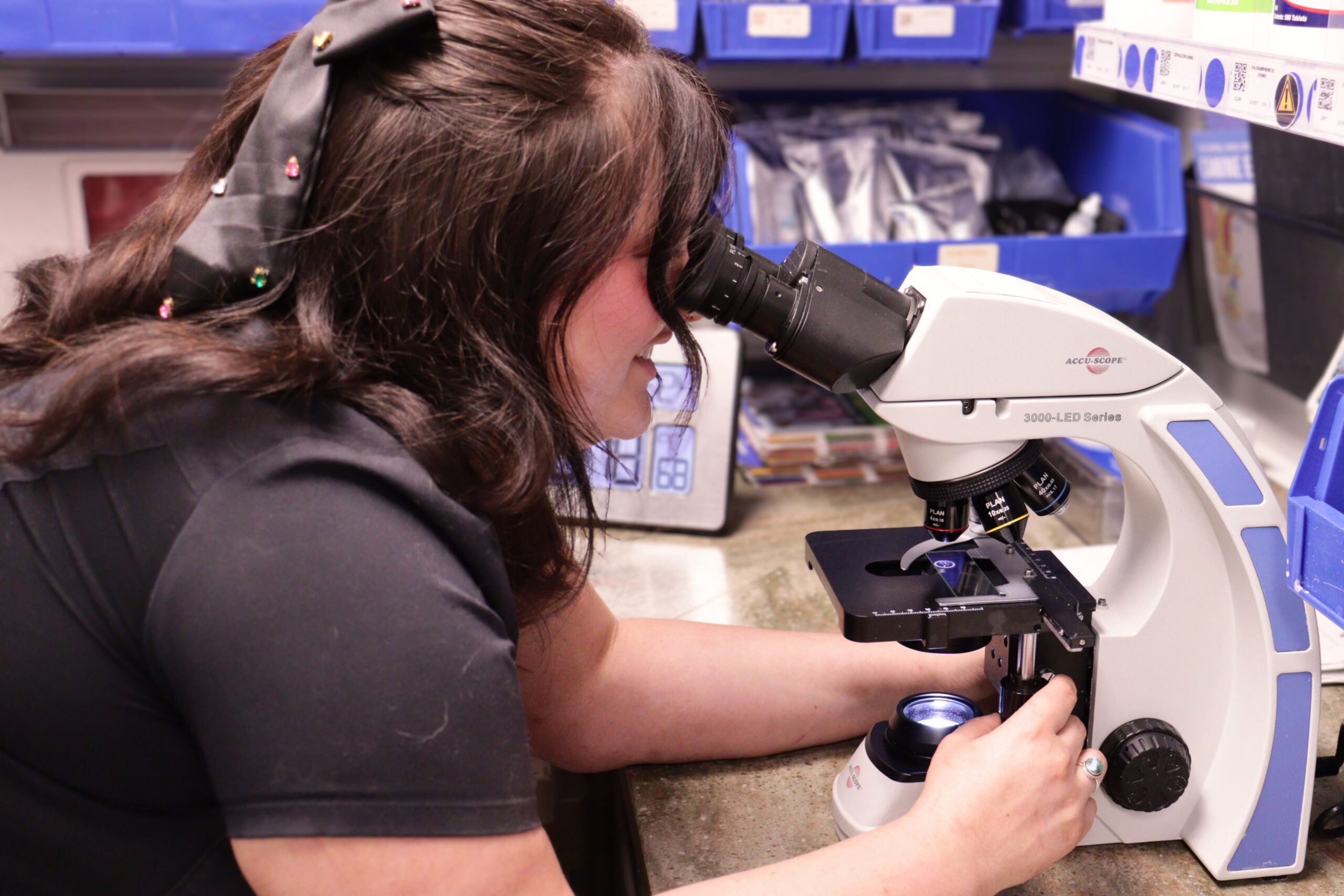 veterinary-lab- work-highland-heights-petwow veterinary-diagnostic-lab-work-petwow-highland-heights-petwow
