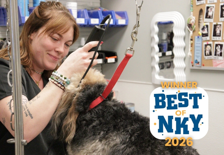 Best of NKY Winner Grooming 2026 award-winning grooming