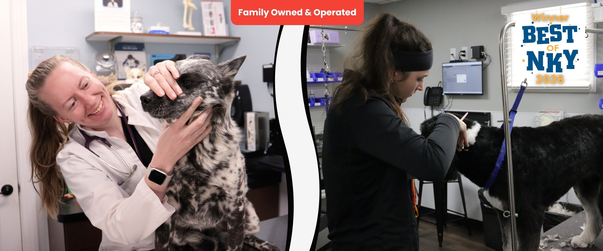PetWow Vet and Groomer Best-nky-vet-and-groomer